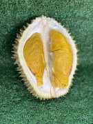 Durian Garden：以 560 英亩实体榴莲园为底层资产，重新定义全球 RWA 的价值锚定